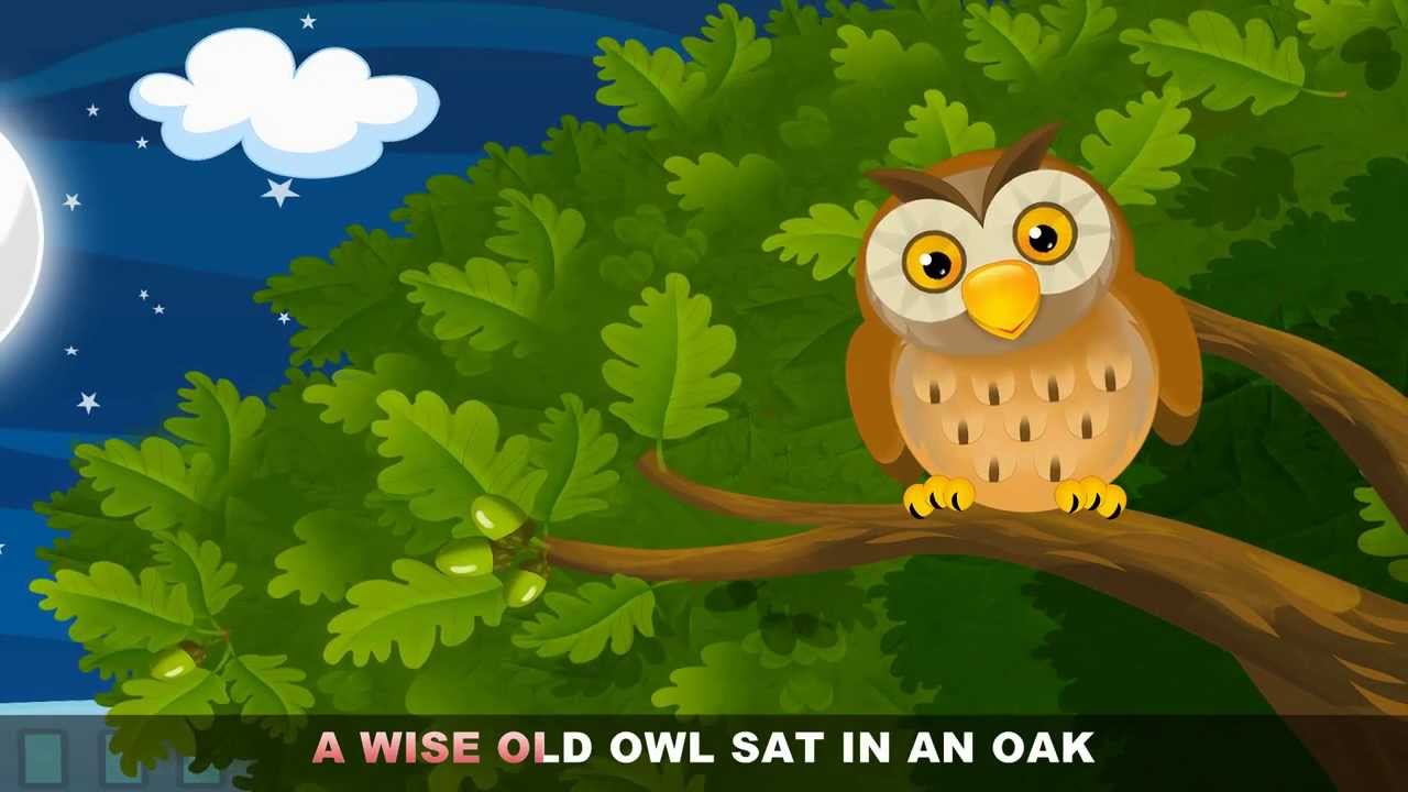 picture Wise Old Owl Poem wise old owl poem google search owl