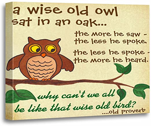 pic Wise Old Owl Poem torass canvas wall art print bird wise old owl proverb cute artwork for home decor 12 x 16