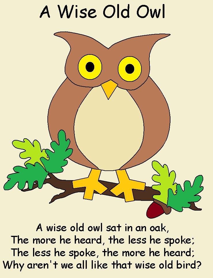 wallpapers Wise Old Owl Poem the spiritual legacy behind the wise